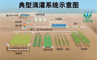 现代水肥一体化 滴灌 技术分享