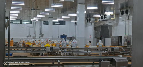 新时期中国物流冷库项目 库体保温 制冷系统设计与设备选择