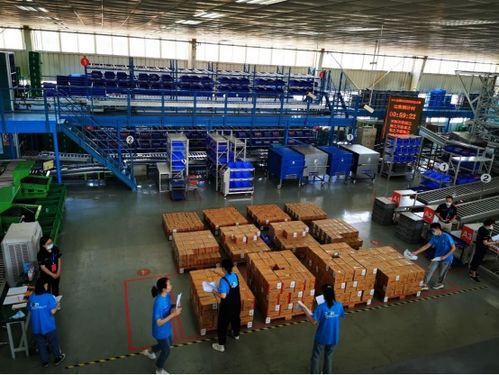 学校获全国职业院校技能大赛智慧物流作业方案设计与实施赛项二等奖